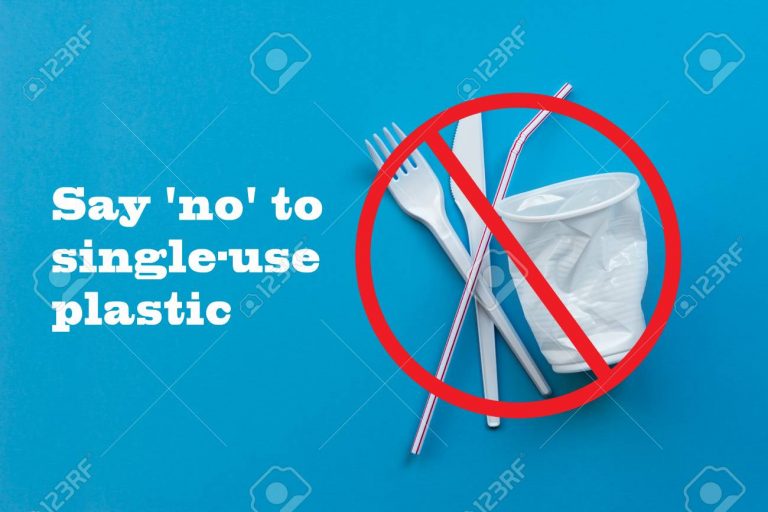 Ban on plastic: Complete ban on single use plastic from July 1, Centre issues guidelines