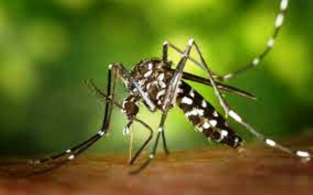 Zika virus in UP: 3 IAF officers test positive for Zika virus, tally reaches 4 in Kanpur