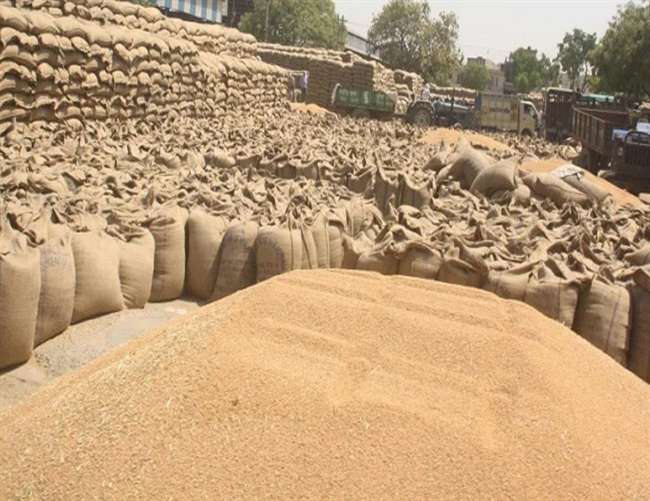 Wheat procurement in UP to begin from March 1