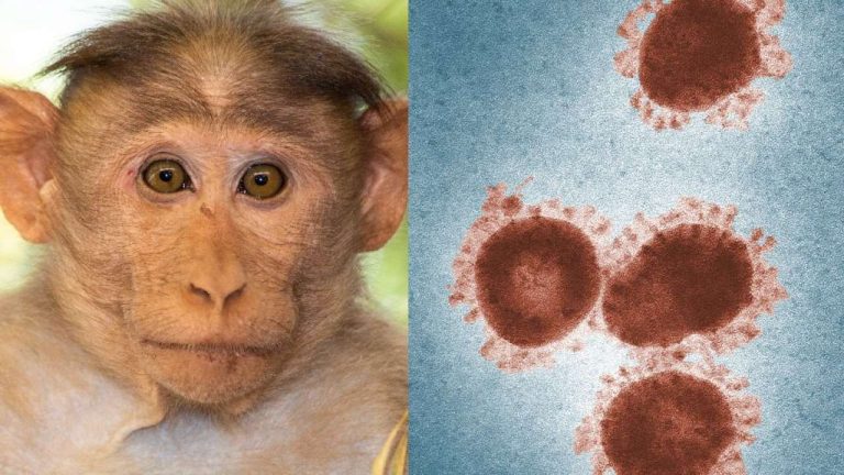 Monkeypox virus: Health Ministry issues guidelines to states/ UTs