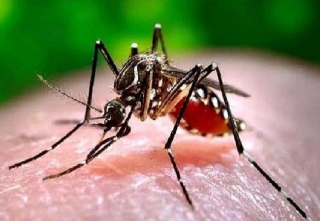 Dengue and viral fever patients are increasing rapidly across Uttar Pradesh