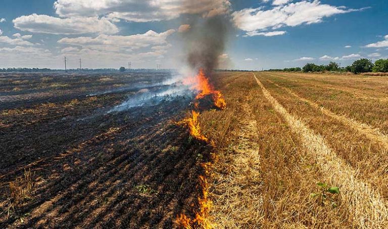 Cabinet Secretary fixes accountability of officers of 4 states, 1 UT to prevent incidents of stubble burning