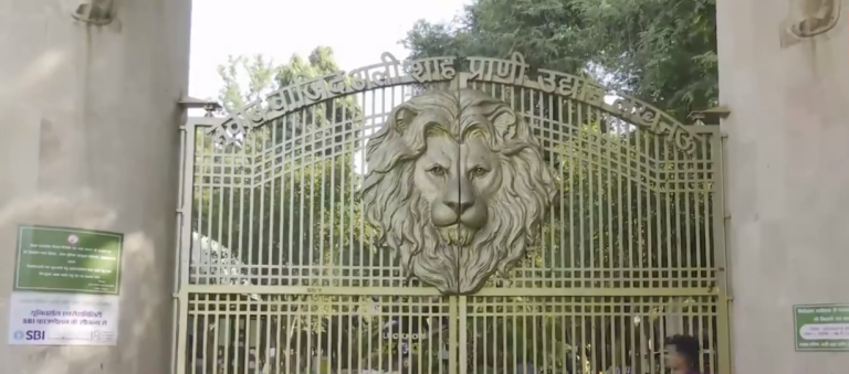 Over 10K people throng Lucknow zoo on December 31, more expected on Jan 1, informs Director