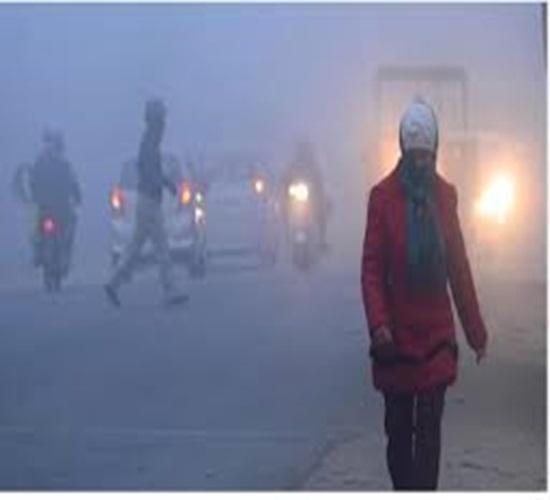 Winter weather: Dense fog is forecasted in many states of North India