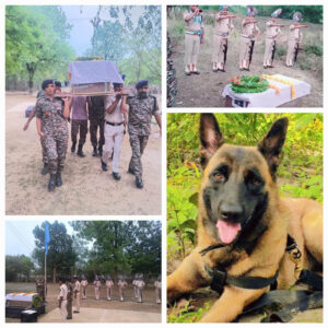 CRPF Chhattisgarh give a heartfelt farewell to ‘four-legged’ warrior K 9 Rolo