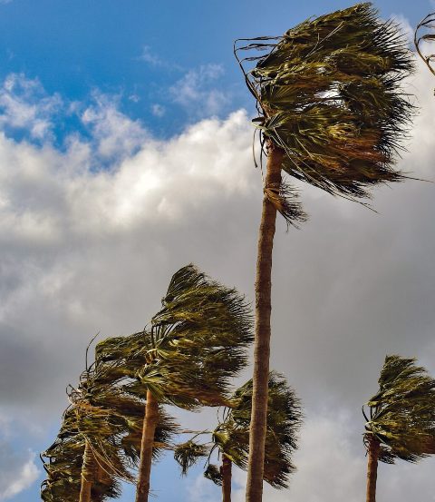 Weather will be affected for a week due to cyclonic circulation in UP, predicts Met