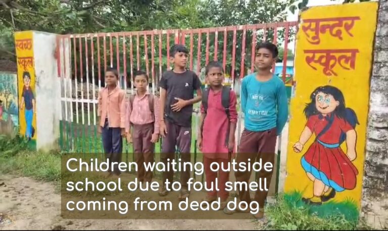 Dog trapped in council school for 4 days, dies of hunger, thirst in Hamirpur, probe on