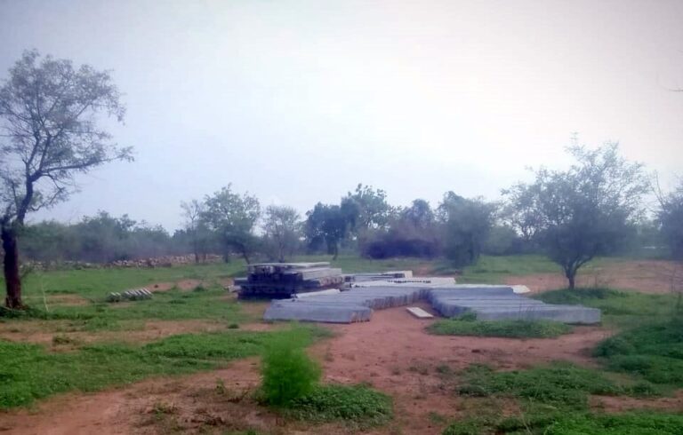 UP forest dept blocks access to Adani power plant as NOC yet to be obtained