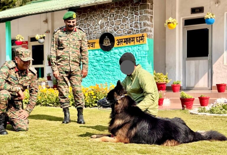 Bullet-wounded Indian Army dog ‘Tyson’ shows rapid recovery